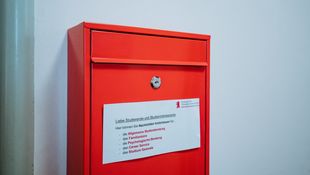 Bewerbung von A bis Z: Roter Briefkasten der HWR Berlin auf grüner Wand. Foto: Oana Popa-Costea