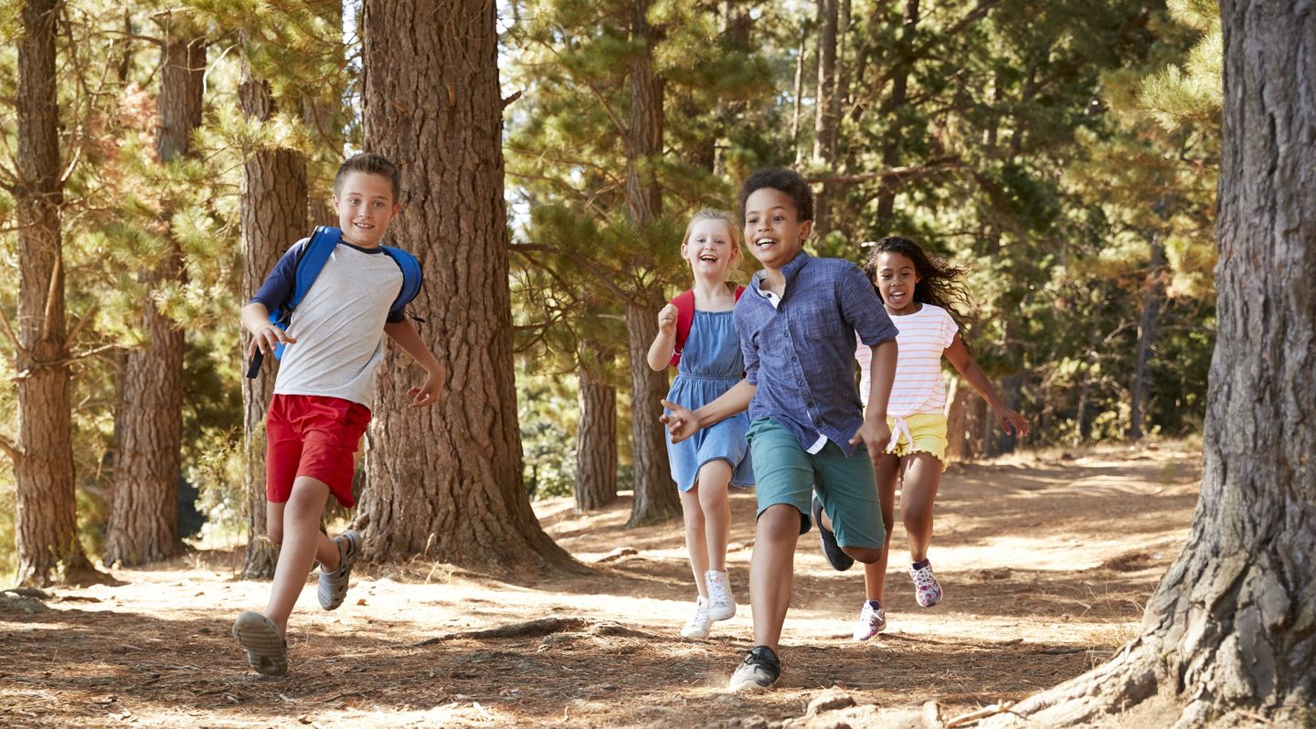 Ferienbetreuung: Vier Kinder rennen lachend einen Waldweg entlang. Foto: © monkeybusinessimages/iStock/Getty Images Plus