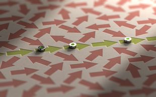 Purposeful green arrows make their way through a field of light brown arrows pointing in all directions. Photo: © Olivier Le Moal/iStock/Getty Images Plus