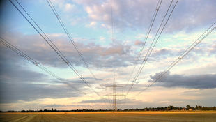 Strommast auf einem Feld vor Sonnenuntergang. Foto: Sylke Schumann / HWR Berlin