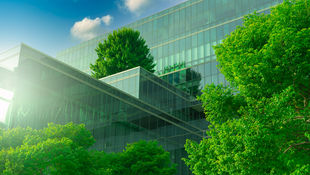 Grüne Bäume auf einem gläsernen Klinikgebäude. Foto: © Fahroni/iStock/Getty Images Plus