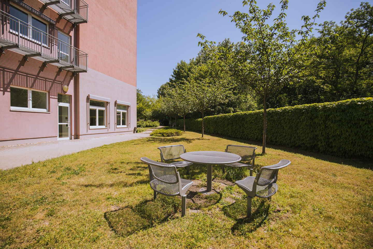 Studying at the Campus Lichtenberg of the HWR Berlin: Garden behind house 5. Photo: Oana Popa-Costea