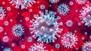 Coronavirus under the microscope. Photo: Getty Images