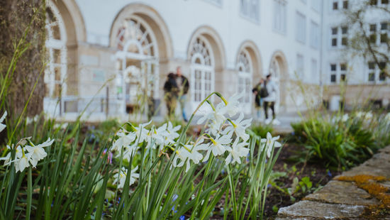 Nachhaltigkeit: Öklogischer Blühgarten an der HWR Berlin. Foto: Oana Popa-Costea 