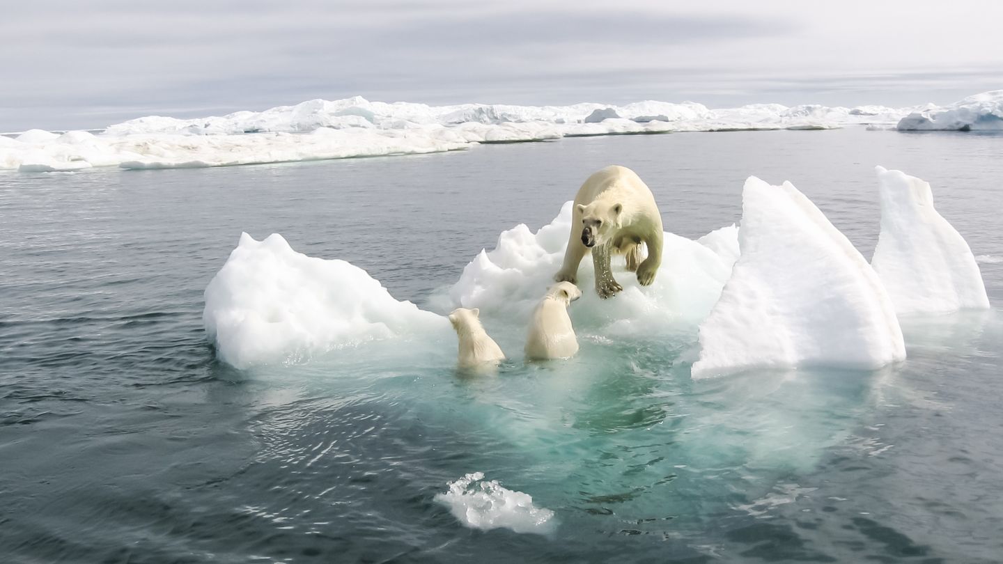 © avstraliavasin/iStock/Getty Images Plus
